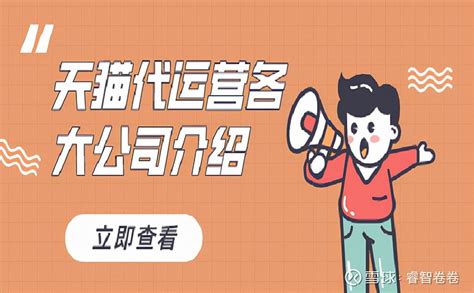天猫代运营公司十大排
