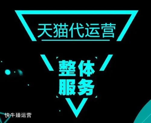 电商代运营公司能做哪